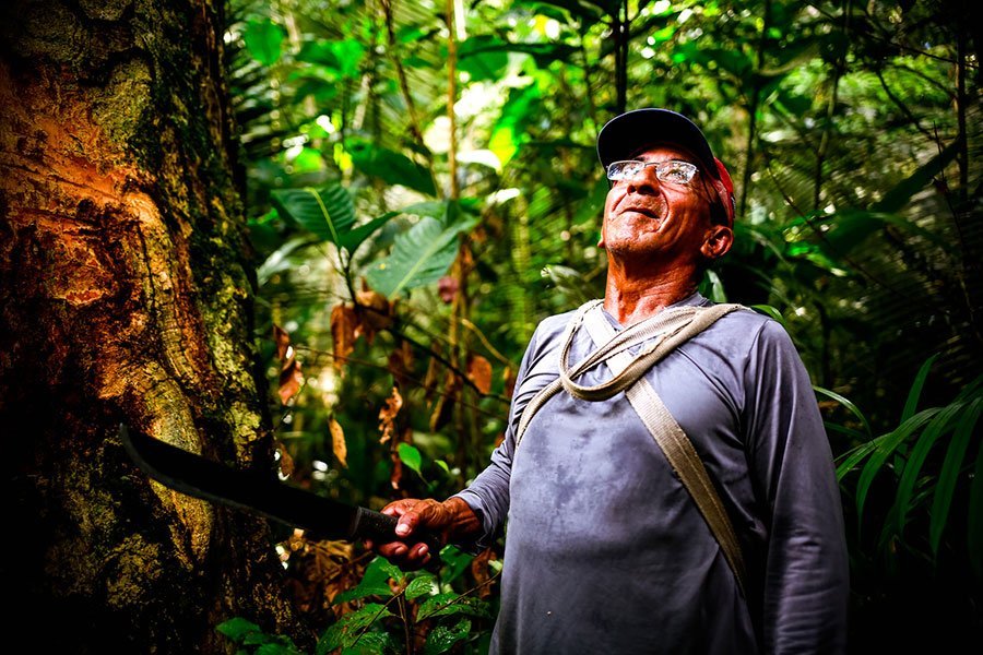 José, copaiba balsam gatherer in the Amazon rainforest.