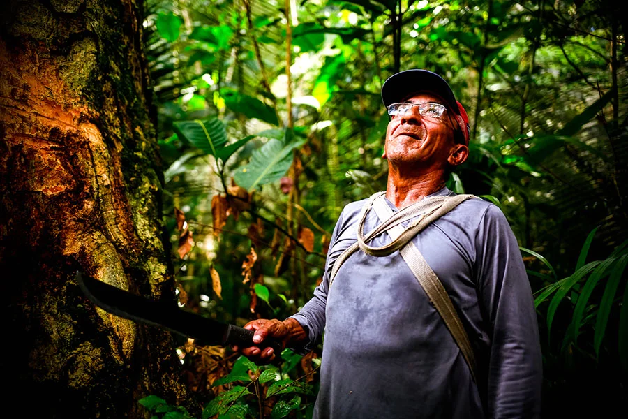 José, copaiba balsam gatherer in the Amazon rainforest. José, copaiba balsam gatherer in the Amazon rainforest.