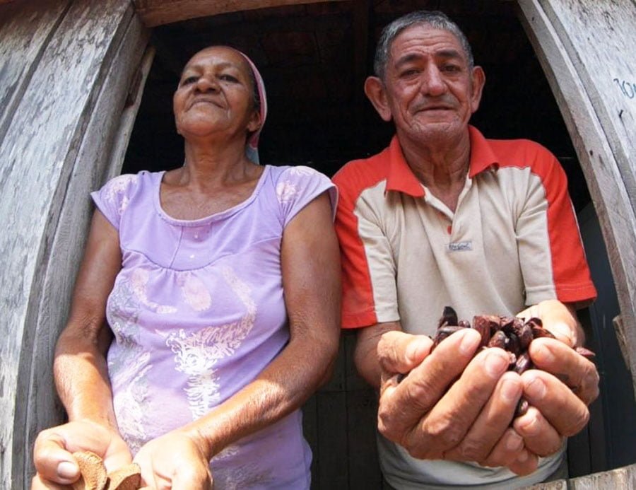 Tereza and Divaldo, tonka beans gatherers in Pará. Basically, 80% to 90% of the production comes from harvesting in natural forest.