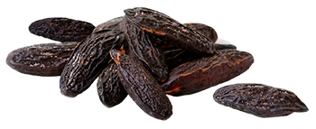 Tonka Beans