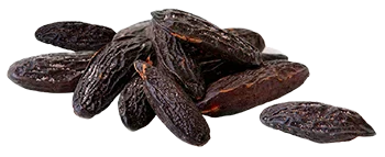 Tonka Beans