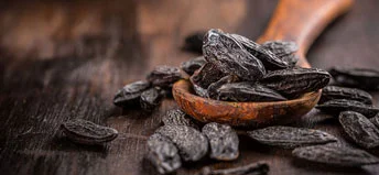 Tonka Beans: a unique and versatile ingredient | Essential Oils