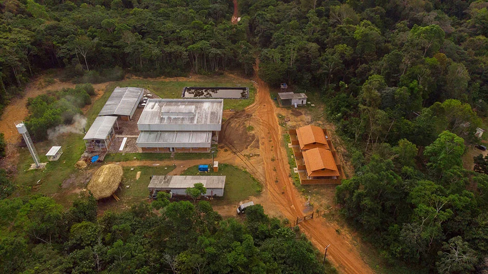 Rosewood Project in the Amazon Rainforest