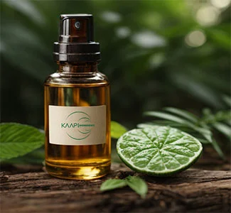 Amazonian Ingredients: What to Consider When Choosing the Best Partner? Natural ingredients extracted ethically and sustainably