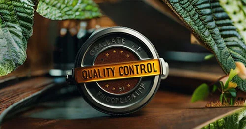 Amazonian Ingredients: What to Consider When Choosing the Best Partner? Discover 4 Distinctive Features of Kaapi - and Its Ingredients